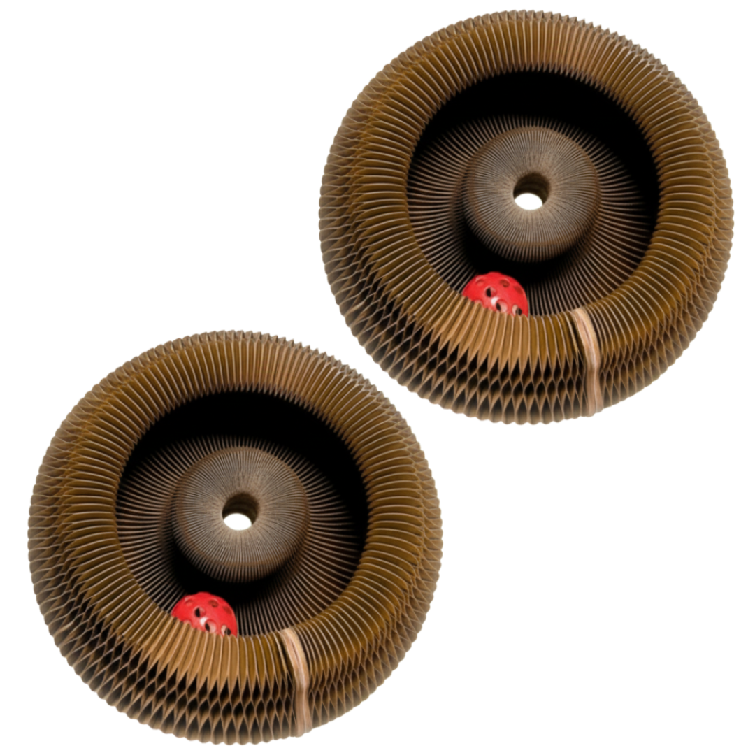 PetWellness KittyKurlz