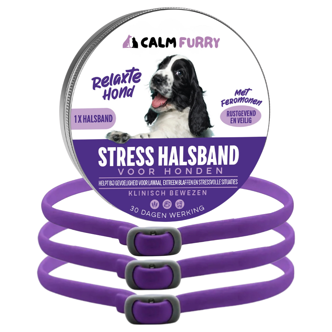 PetWellness Calm Furry Dog