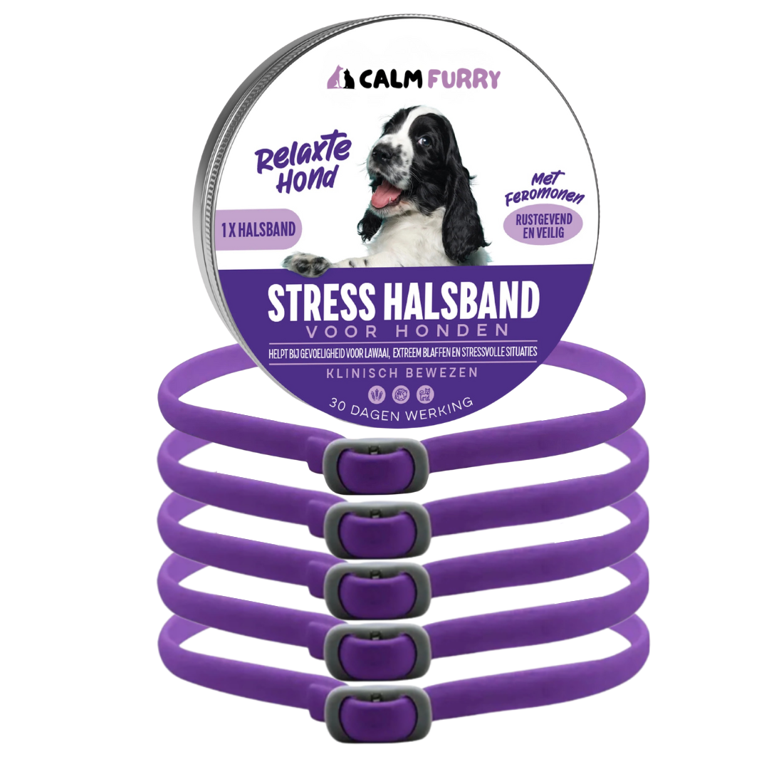 PetWellness Calm Furry Dog