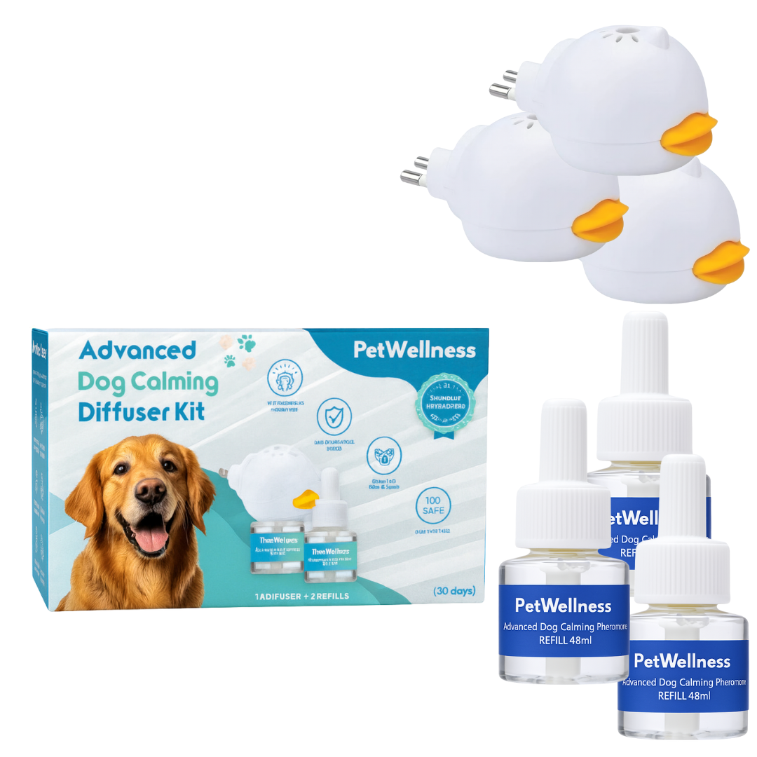 PetWellness Diffusor Dog