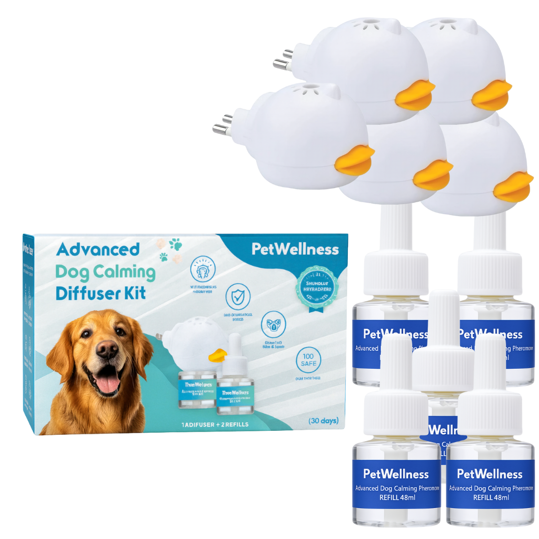 PetWellness Diffusor Dog