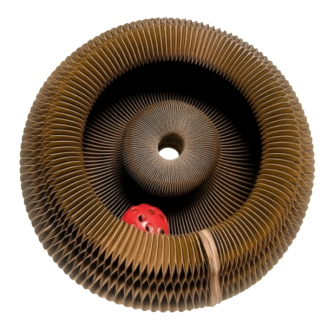 PetWellness KittyKurlz