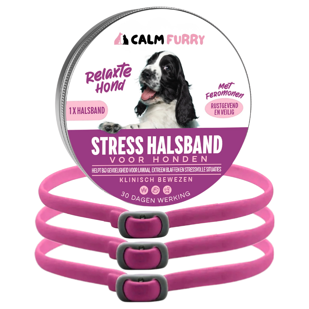 PetWellness Calm Furry Dog