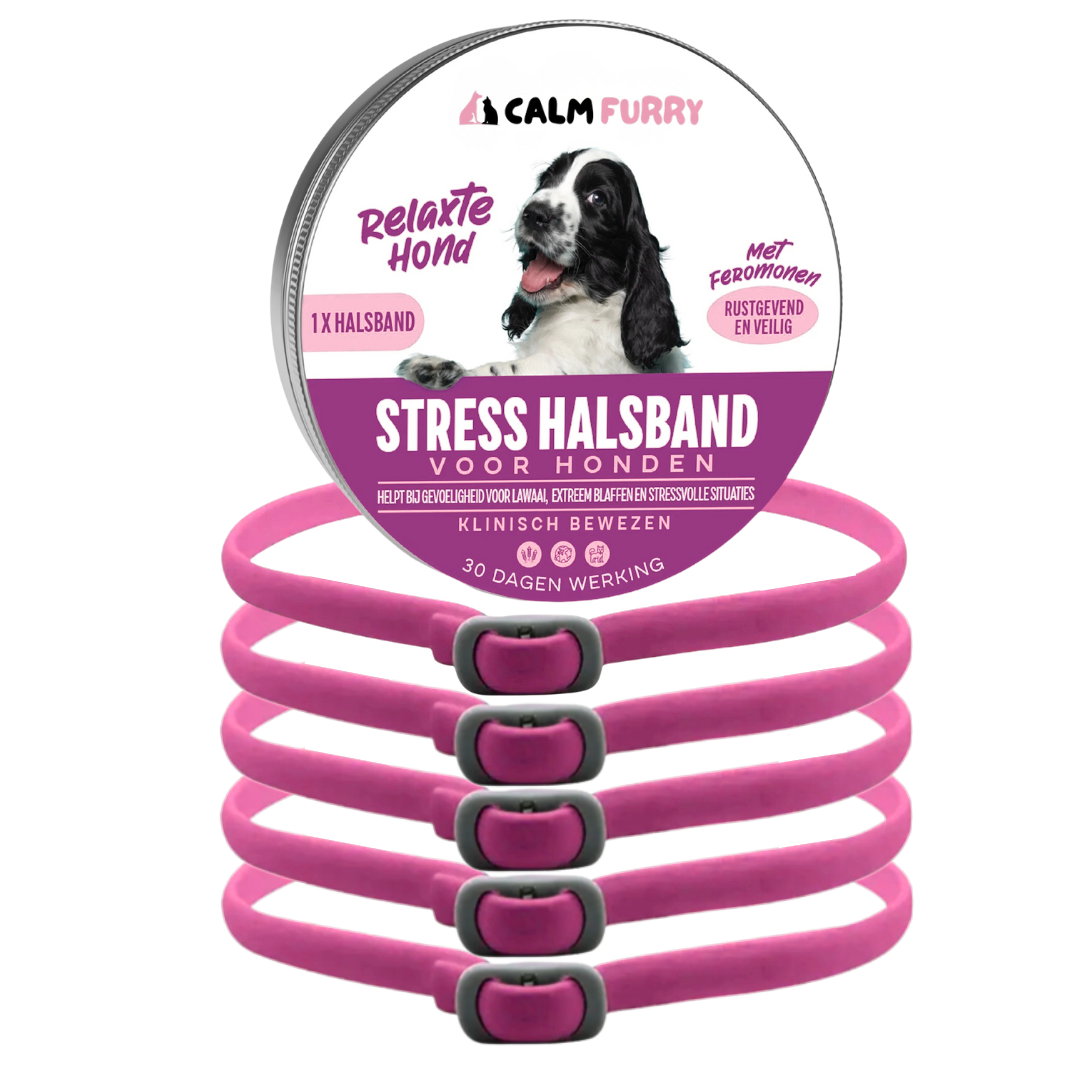 PetWellness Calm Furry Dog