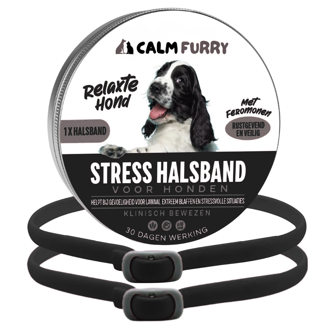 PetWellness Calm Furry Dog