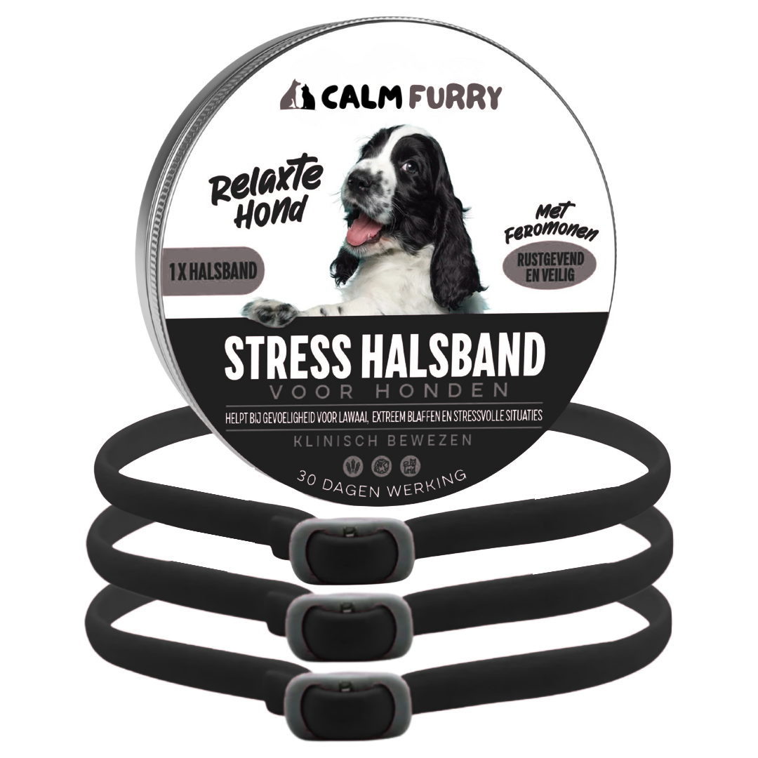 PetWellness Calm Furry Dog