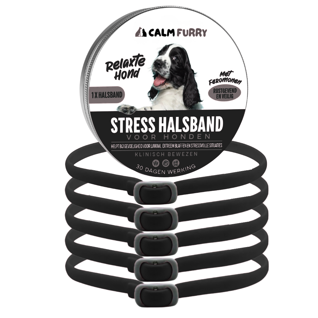 PetWellness Calm Furry Dog